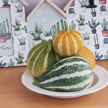 Ca La Miquela Holiday home